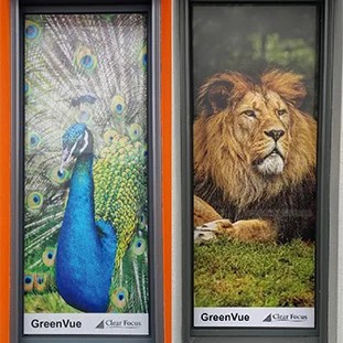 Transcendia Clear Focus U.S. Patents 7,897,239 and 8,211,527