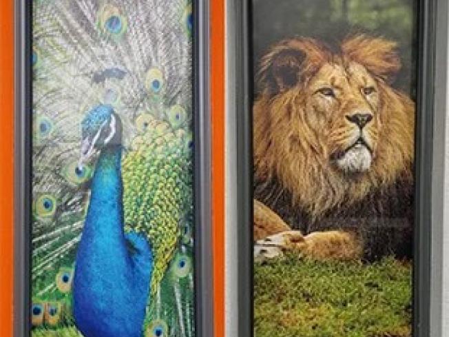 Transcendia Clear Focus U.S. Patents 7,897,239 and 8,211,527